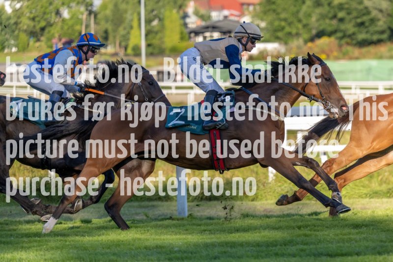 20220811-190543-DSC6032