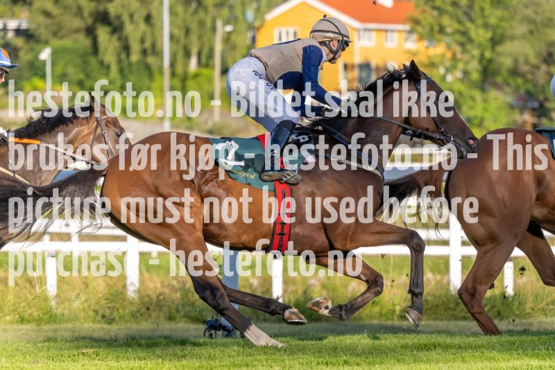 20220811-190544-DSC6033