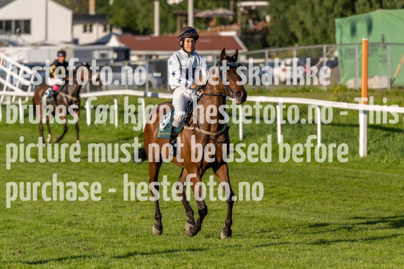 20220811-192640-DSC6086
