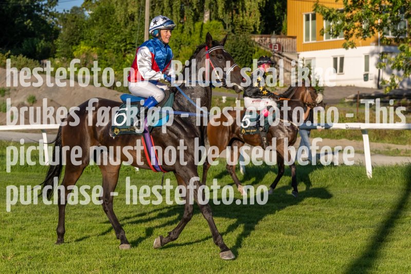 20220811-192658-DSC6114
