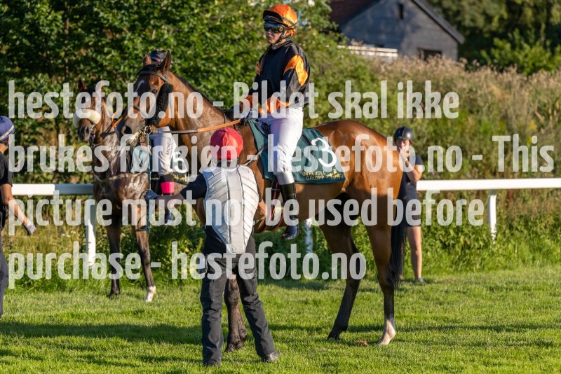 20220811-192839-DSC6197
