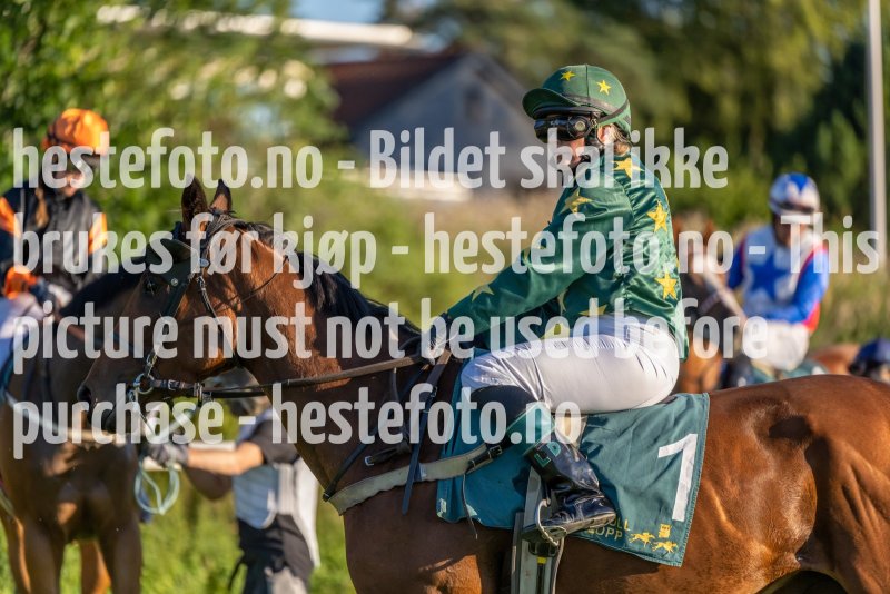 20220811-192845-DSC6200
