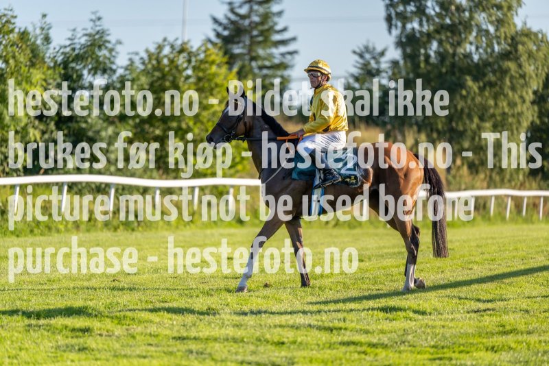 20220811-192851-DSC6206