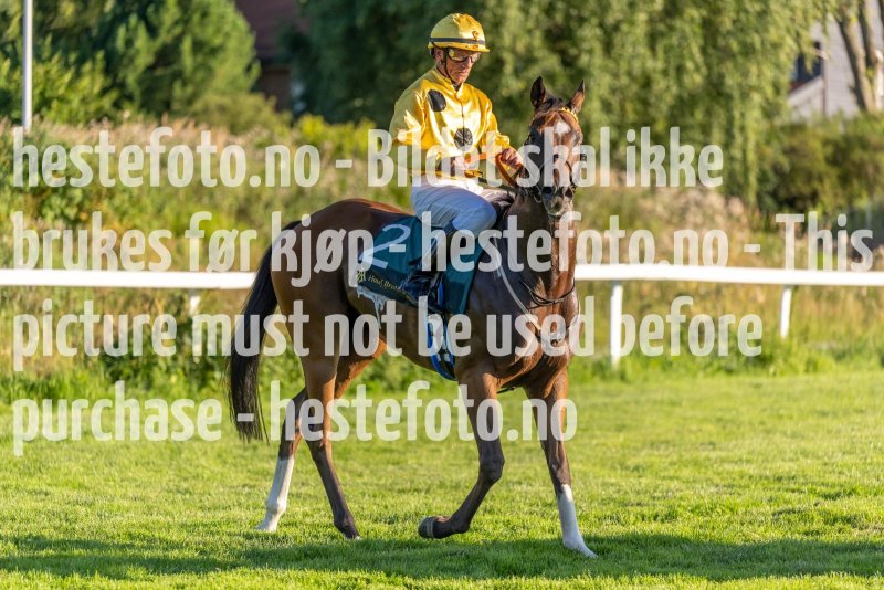 20220811-192928-DSC6226