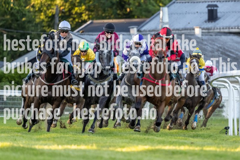 20220811-195850-DSC6304