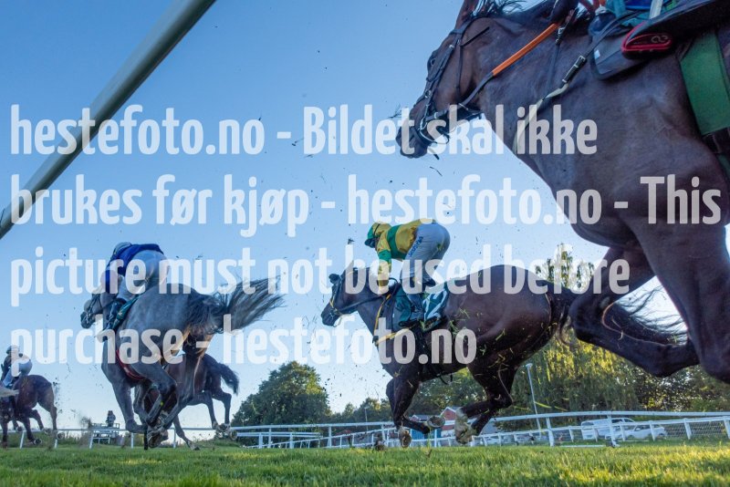20220811-195852-DSD07110