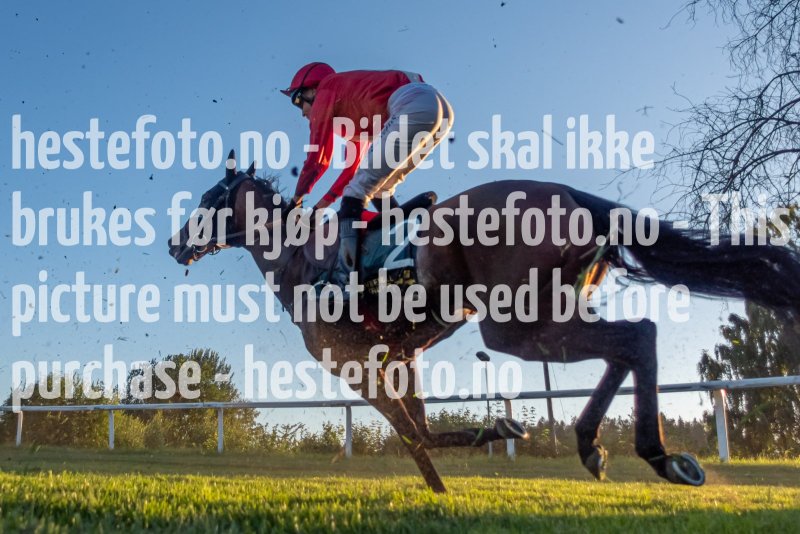 20220811-202306-DSD07399