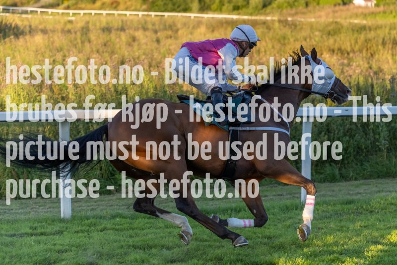 20220811-202308-DSC6365