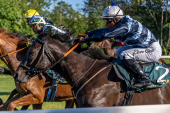 20220811-175433-DSC5697