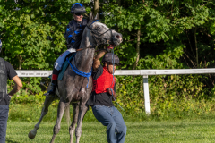 20220811-181638-DSC5901