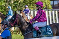 20220811-181653-DSC5906