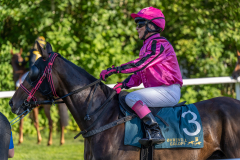 20220811-181655-DSC5910