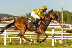20220811-193337-DSC6264
