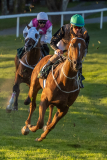 20220811-202305-DSC6355