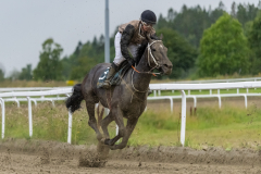 20220818-190712-DSC8667
