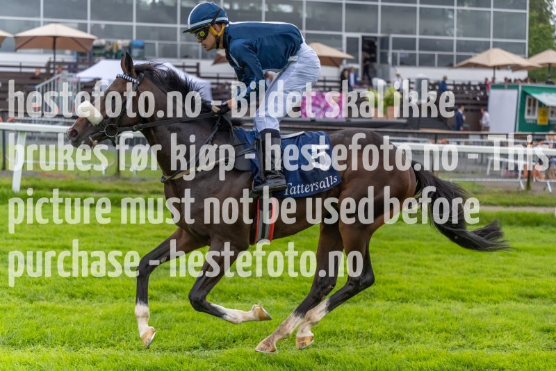 20220821-130236-DSC9320