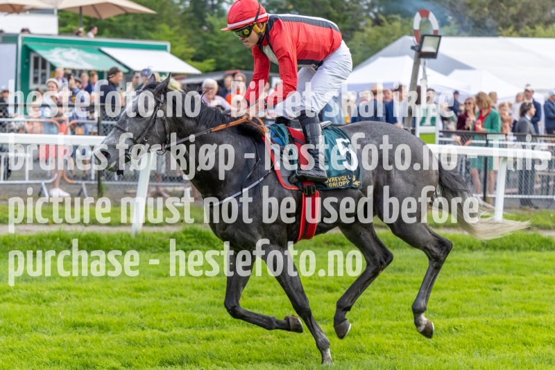 20220821-151655-DSC0505