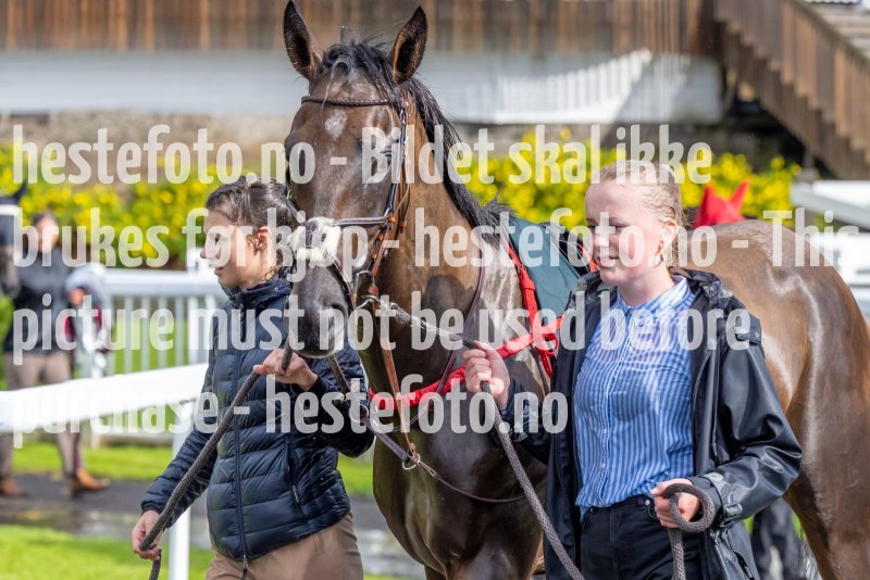 20220821-163608-DSC0885