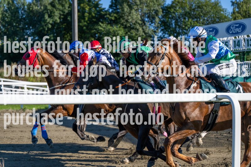 20220901-172733-DSC_2055