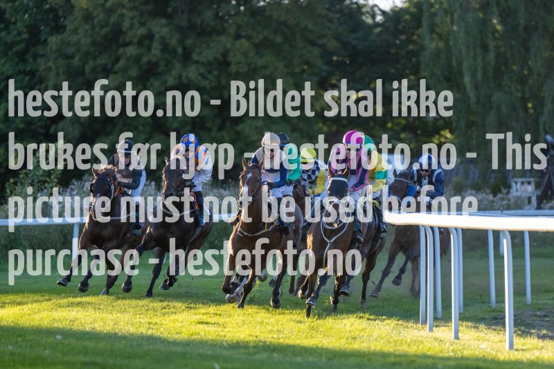 20220901-191409-DSC_2605