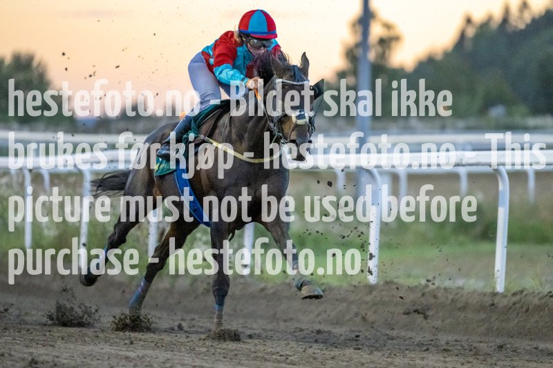 20220901-202351-DSC_3113