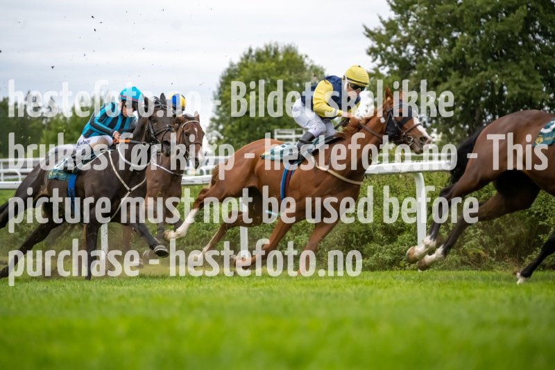 20220908-175334-DSC3751