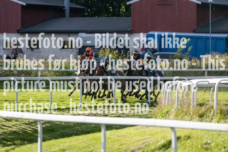 20220915-175309-DSC_9019