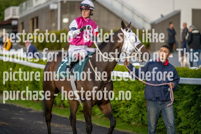 20220915-180947-DSC_9660