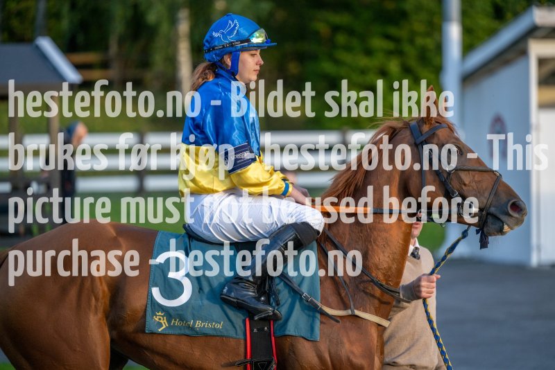 20220915-190116-DSC_1107