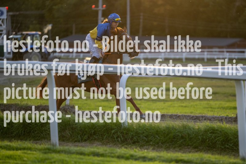 20220915-190203-DSC_1165