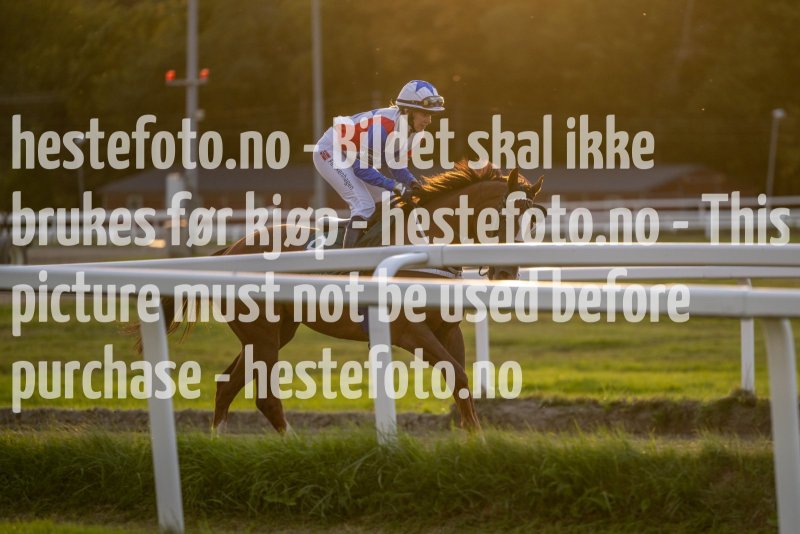 20220915-190210-DSC_1195