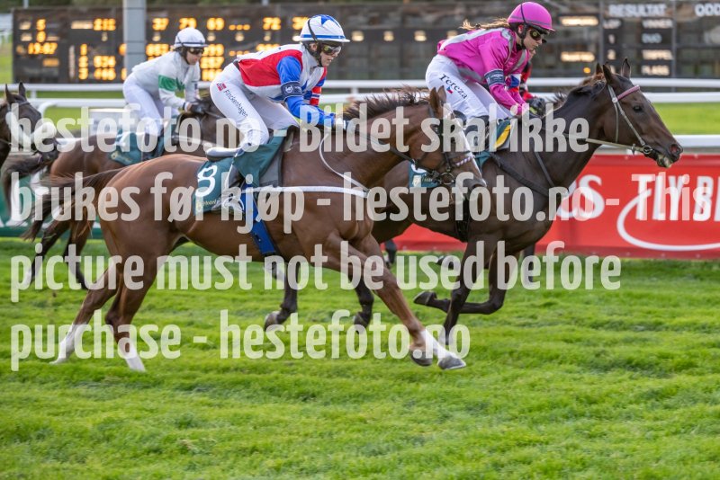 20220915-190721-DSC_1309