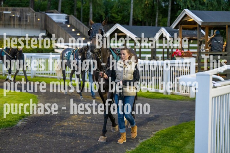 20220915-194906-DSC_2656