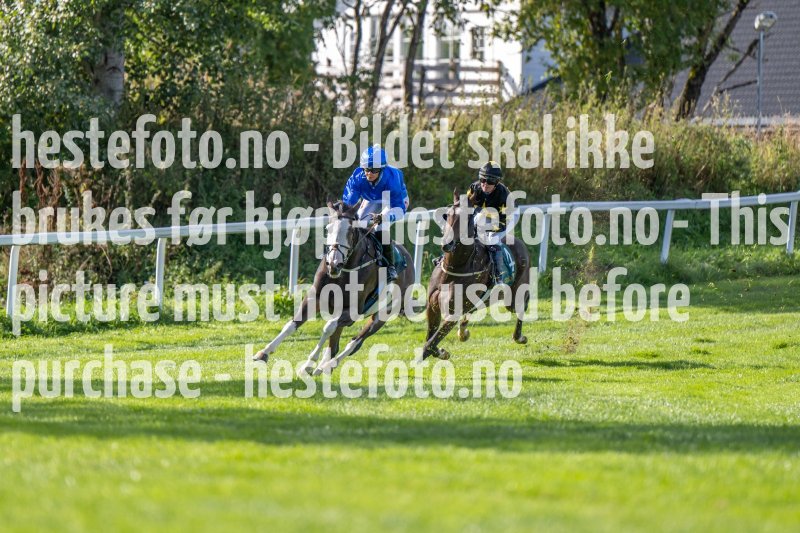 20220921-124728-DSC_7463