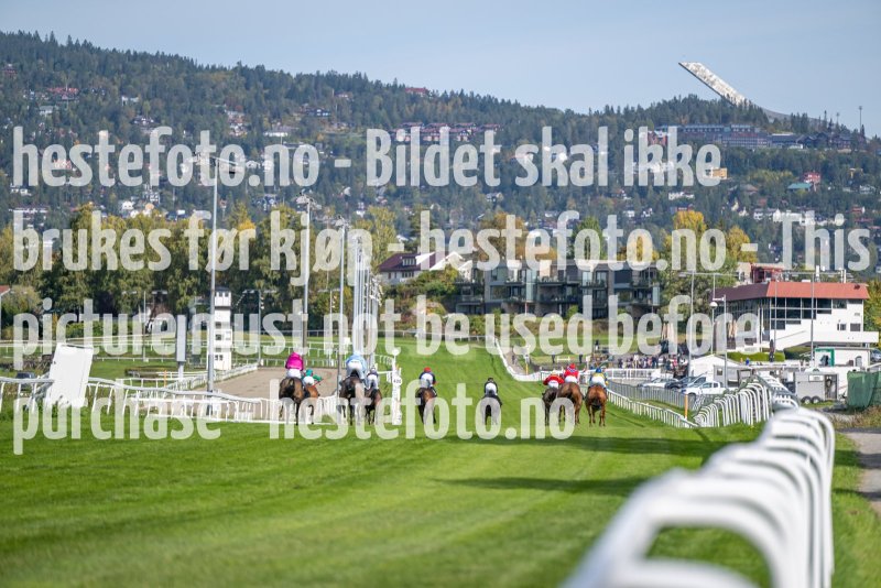 20220921-131239-DSC_7752