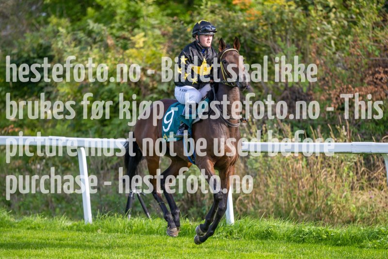 20220921-133224-DSC_7808