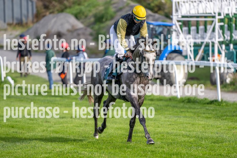 20220921-133228-DSC_7821