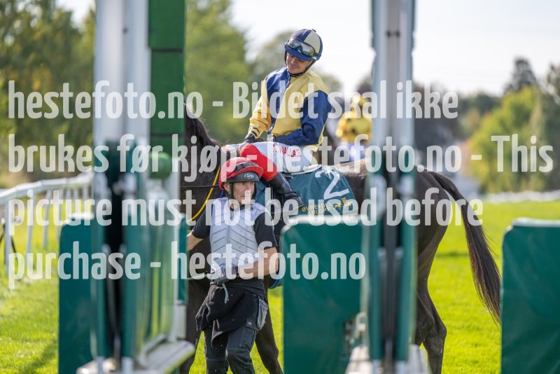 20220921-134016-DSC_8143