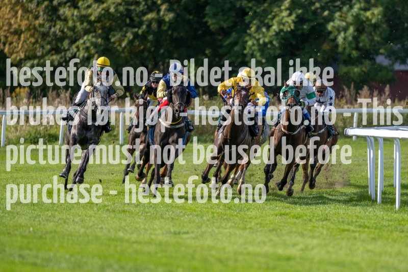 20220921-134401-DSC_8352
