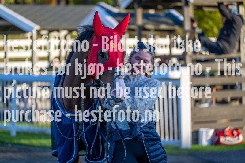 20221006-174014-DSC_3678