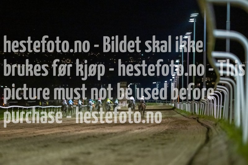 20221006-195733-DSC_4841