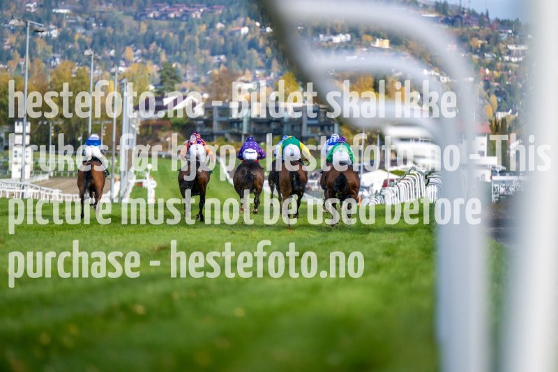 20221012-130047-DSC_6069