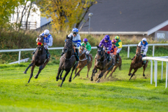 20221012-130039-DSC_5960