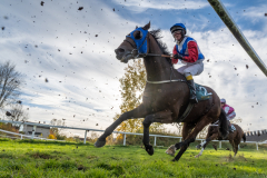 20221012-152106-DSC6479