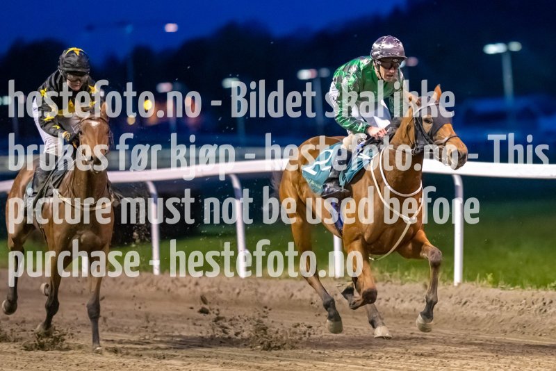 20221020-182036-DSC_7930