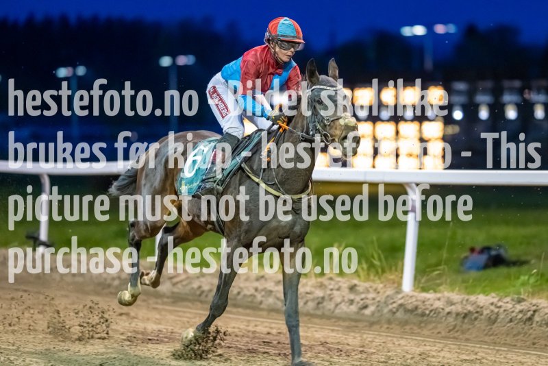 20221020-182039-DSC_7969