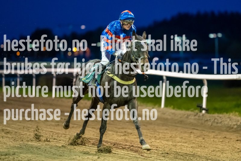 20221020-182041-DSC_7980