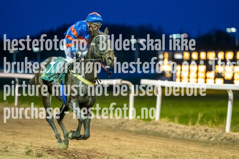 20221020-182041-DSC_7984
