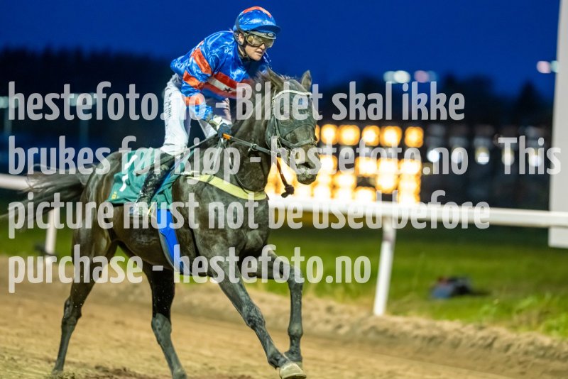 20221020-182041-DSC_7987