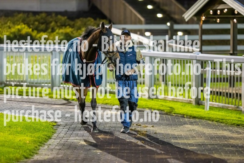 20221020-183252-DSC_8047